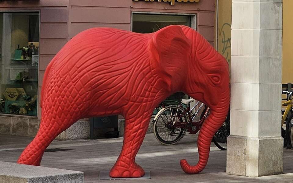 Foto: Aktuelles